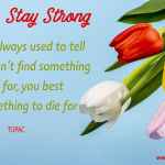 stay strong - 15/JAN