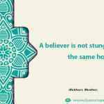 A believer is not stung twice from the same hole.