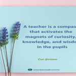 A teacher is a compass that activates the magnets of curiosity