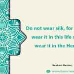 Do not wear silk, for those who wear it in this life shall not wear it in the Hereafter