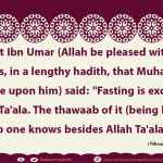 Fasting is exclusively for Allah Ta'ala. The thawaab of it (being limitless) no one knows besides Allah Ta'ala