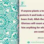 If anyone plants a tree, patiently protects it and looks after it until it bears fruit, Allah the Mighty and Glorious will count as charity for him anything for which its fruits are used