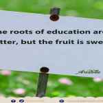 The roots of education are bitter, but the fruit is sweet