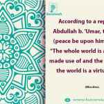 The whole world is a thing to be made use of and the best thing in the world is a virtuous wife