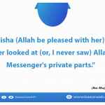 I never looked at (or, I never saw) Allah's Messenger's private parts