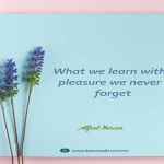 What we learn with pleasure we never forget.
