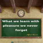 What we learn with pleasure we never forget