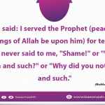 nas said: I served the Prophet (peace and blessings of Allah be upon him) for ten years and he never said to me, "Shame!" or "Why you do such and such?
