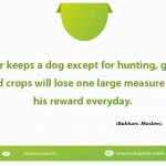 Whoever keeps a dog except for hunting, guarding cattle and crops will lose one large measure (qirat) of his reward everyday