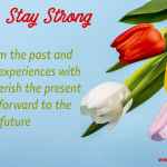 stay strong - 27/JAN