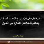 مهمة المعلم أن يزرع الصحراء، لا أن يقتلع الحشائش الضارة من الحقول