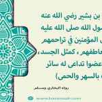 تراحم المؤمنين