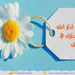 وصية للأبد