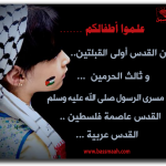 فلسطين عربية